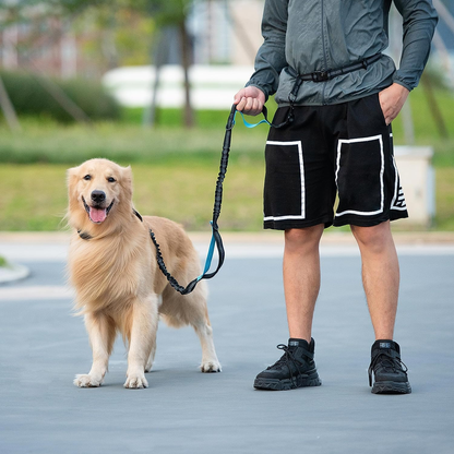 Hands-Free Dog Leash with Zipper Pouch & Bungee, Medium Black