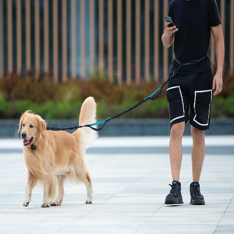 Hands-Free Dog Leash with Zipper Pouch & Bungee, Medium Black